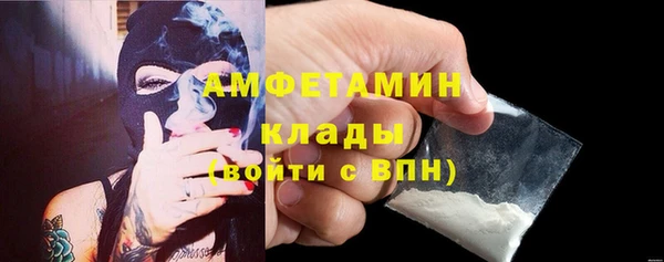 гидра Покачи
