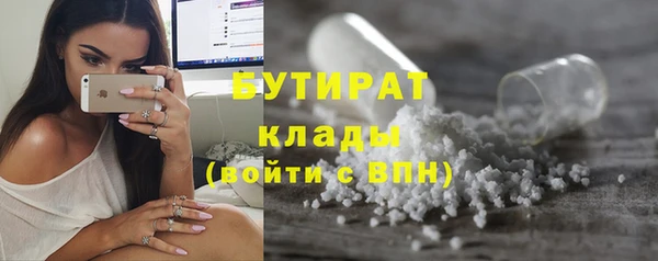 гидра Покачи