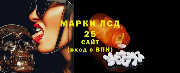 гидра Покачи