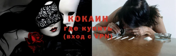 гидра Покачи