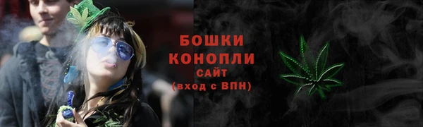 гидра Покачи
