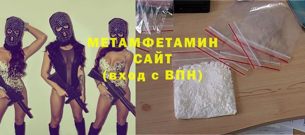 гидра Покачи